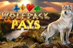 Wolfpack Pays